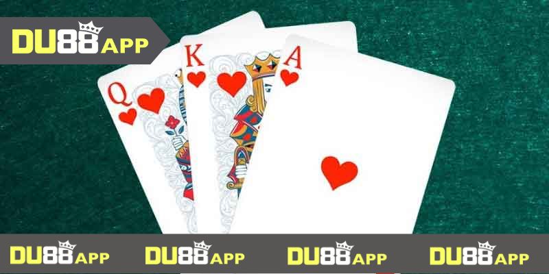 Bài cẩu du88 Bài cẩu du88 cần biết thứ tự các chi