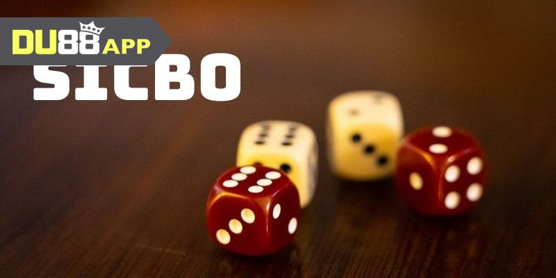 Sicbo Du88 cần xem tỷ lệ cược